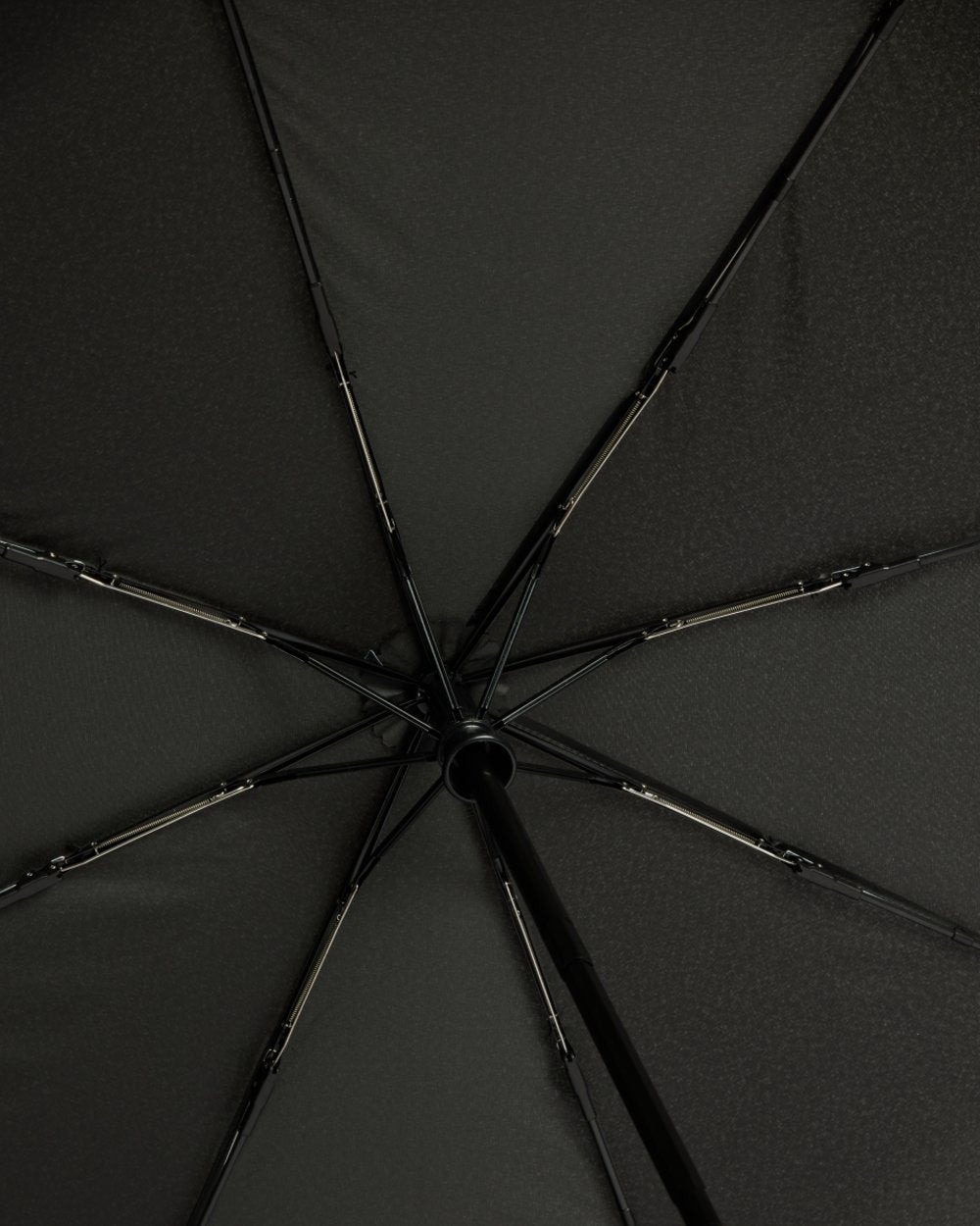 Black coloured Hunter Auto Compact Umbrella on white background