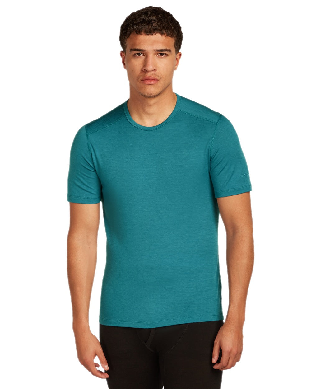 Topaz Coloured Icebreaker Mens Merino 200 Oasis Crewe Short Sleeve Thermal Top on white background