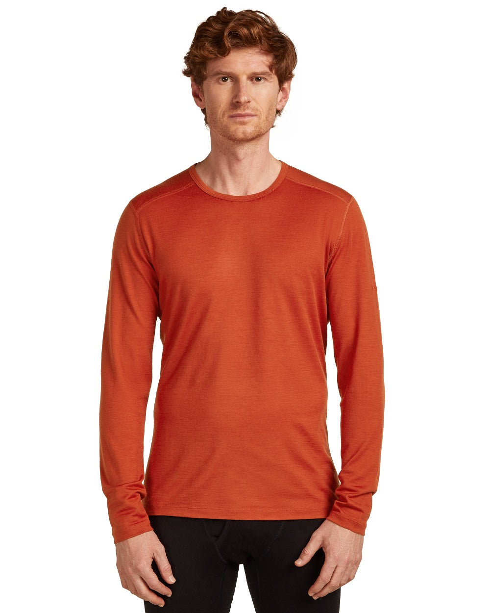 Agate Coloured Icebreaker Mens Merino 200 Oasis Crewe Thermal Top on white background