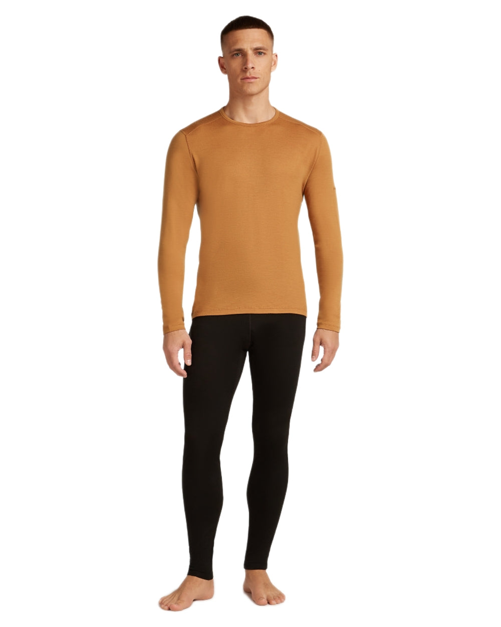 Trail Coloured Icebreaker Mens Merino 260 Tech Crewe Thermal Top on white background