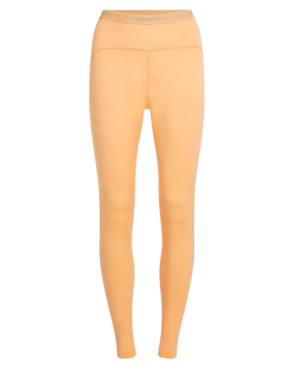 Feldspar Moss Coloured Icebreaker Womens 200 Sonebula Thermal Leggings on white background