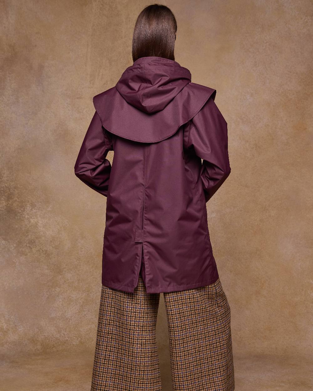 Deep Claret Coloured Jack Murphy Womens Dingle Waterproof Jacket on indoor background
