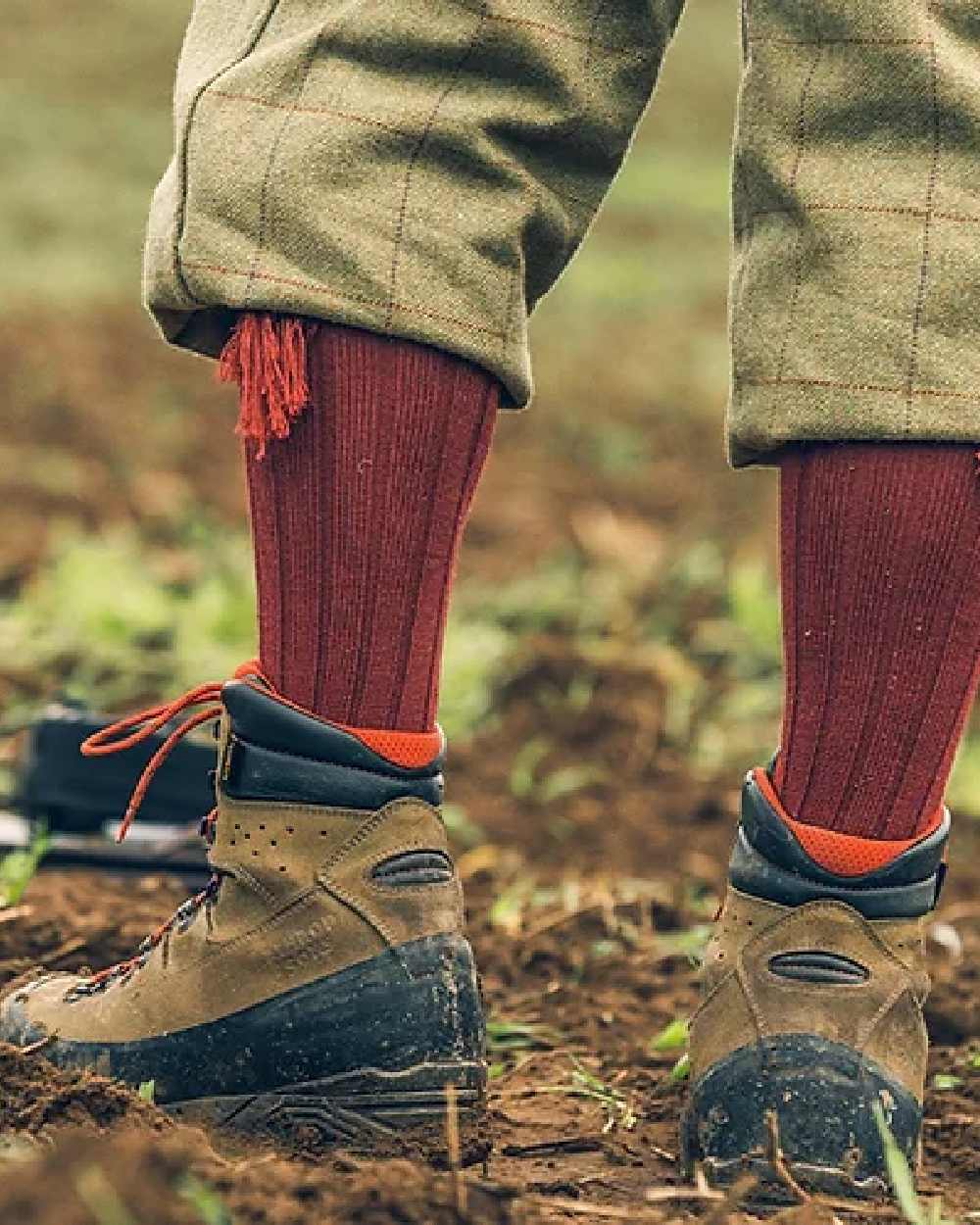 Burgundy coloured Jack Pyke Plain Shooting Socks on mud background