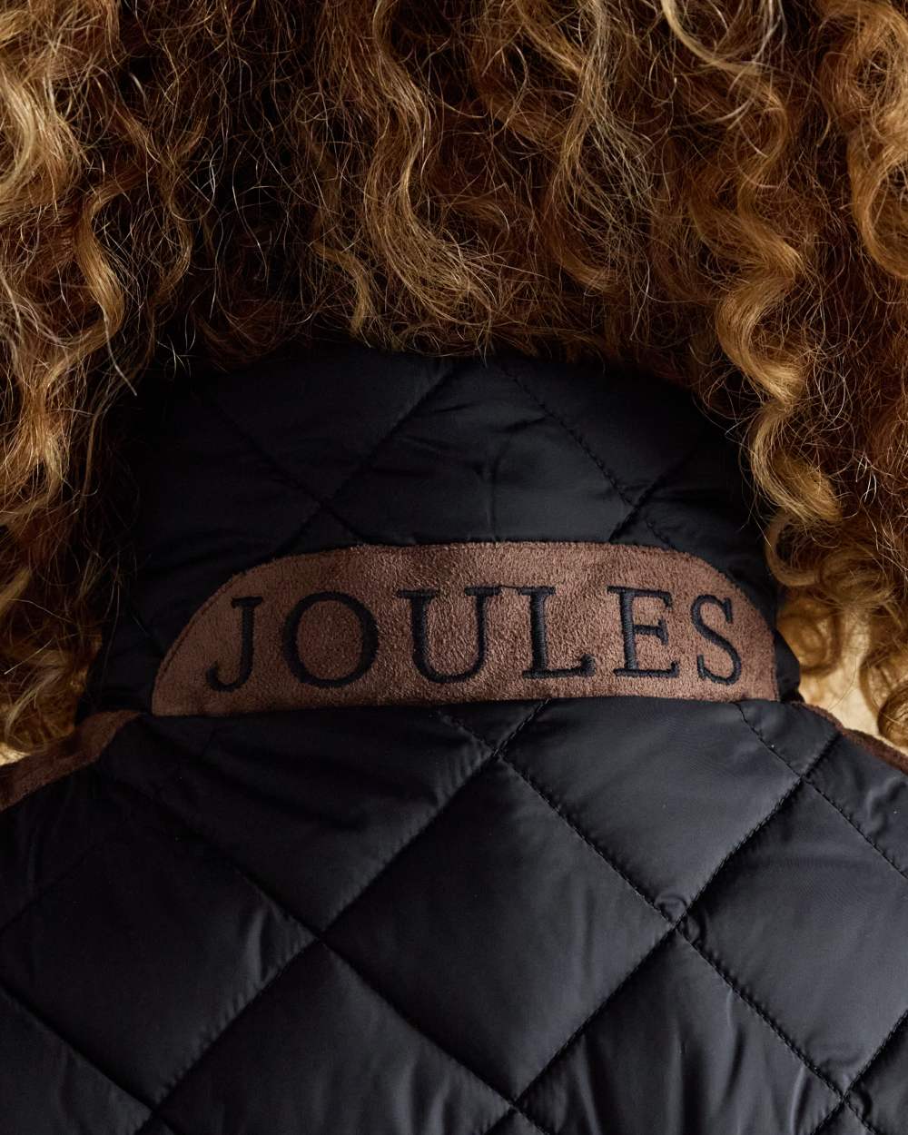 Navy coloured Joules Braemar Luxe Gilet on white background