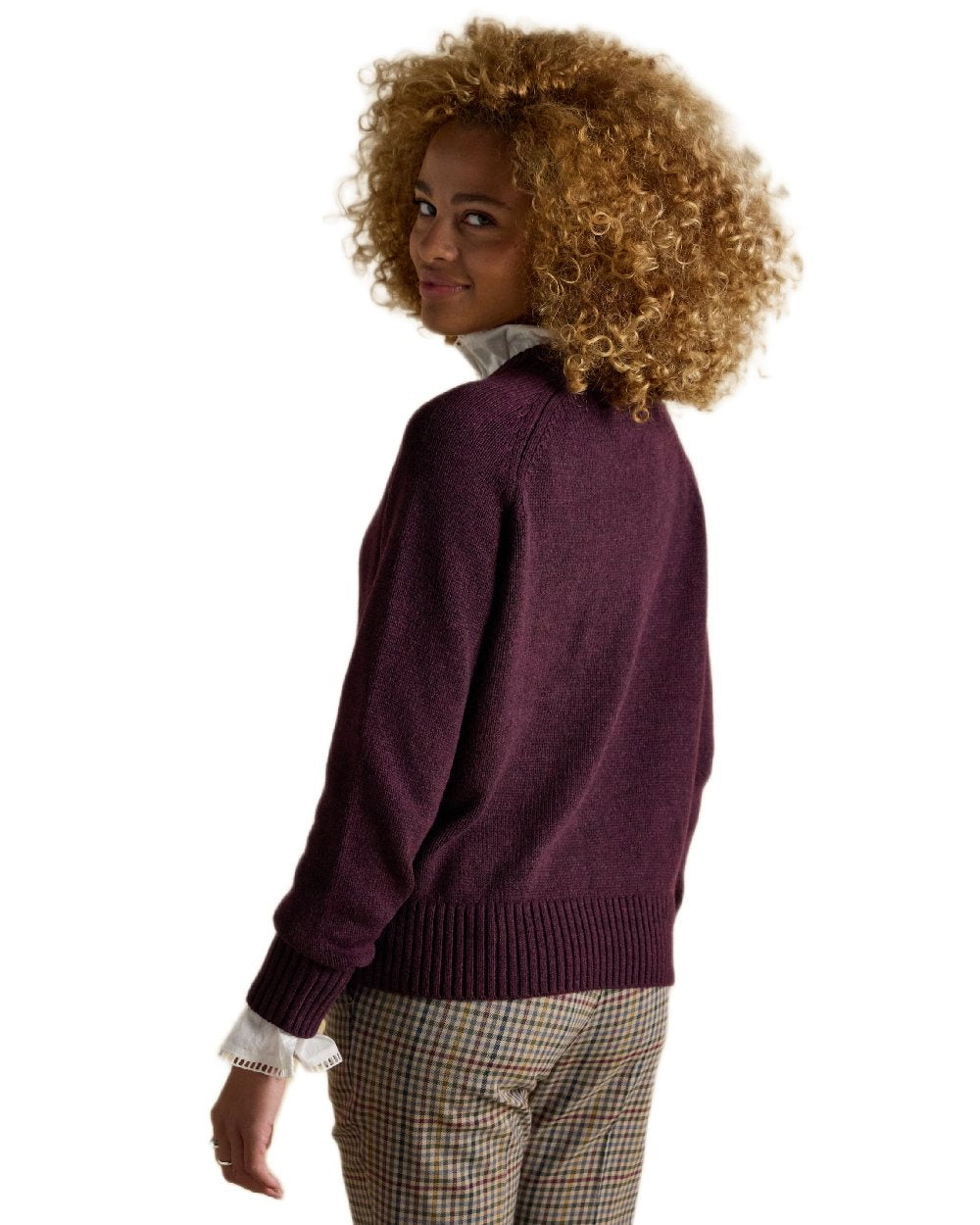 Wine Coloured Joules Jonty Intarsia Knit Jumper on white background