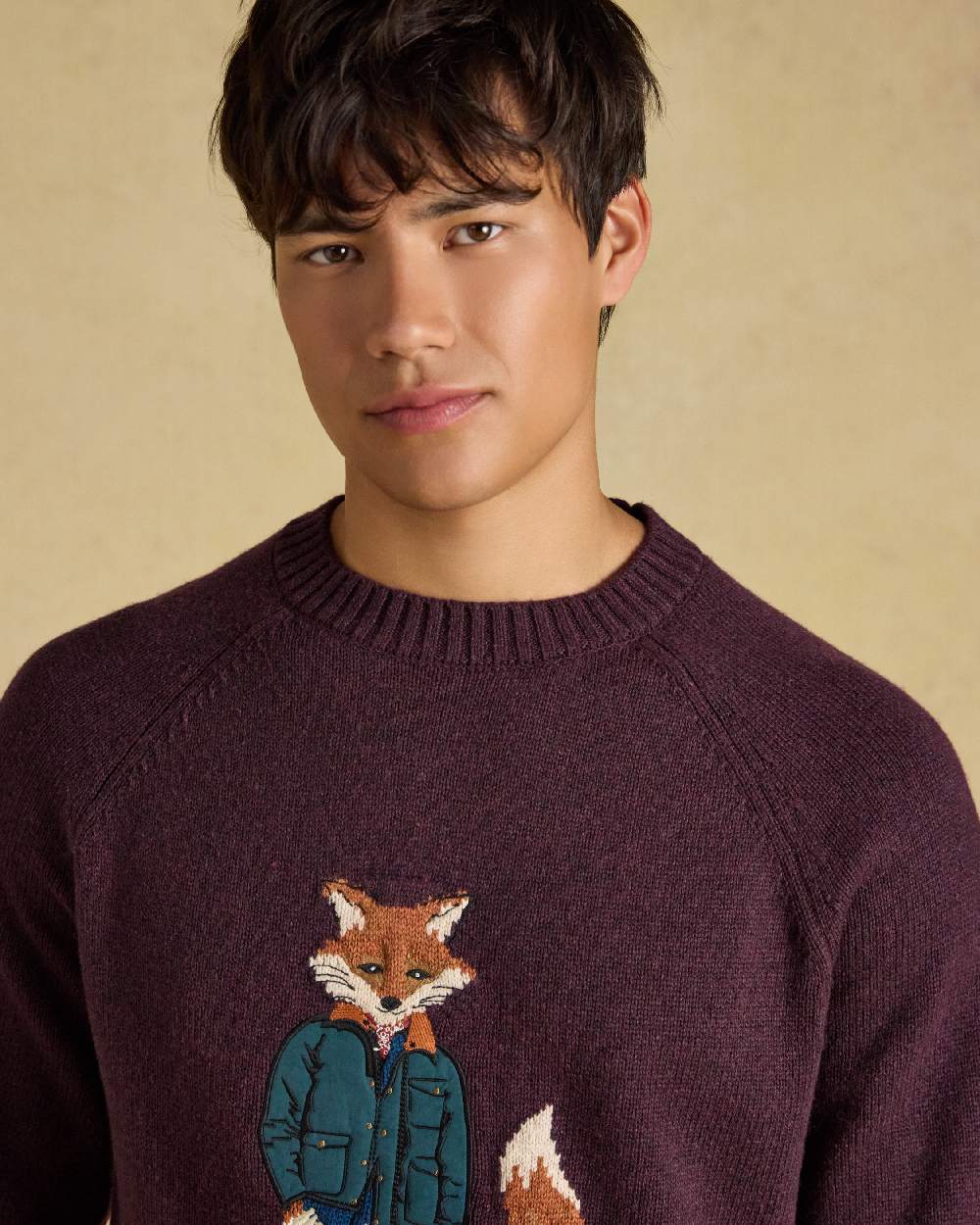 Purple Coloured Joules Mens Jonty Intarsia Crew Knit Jumper on beige background