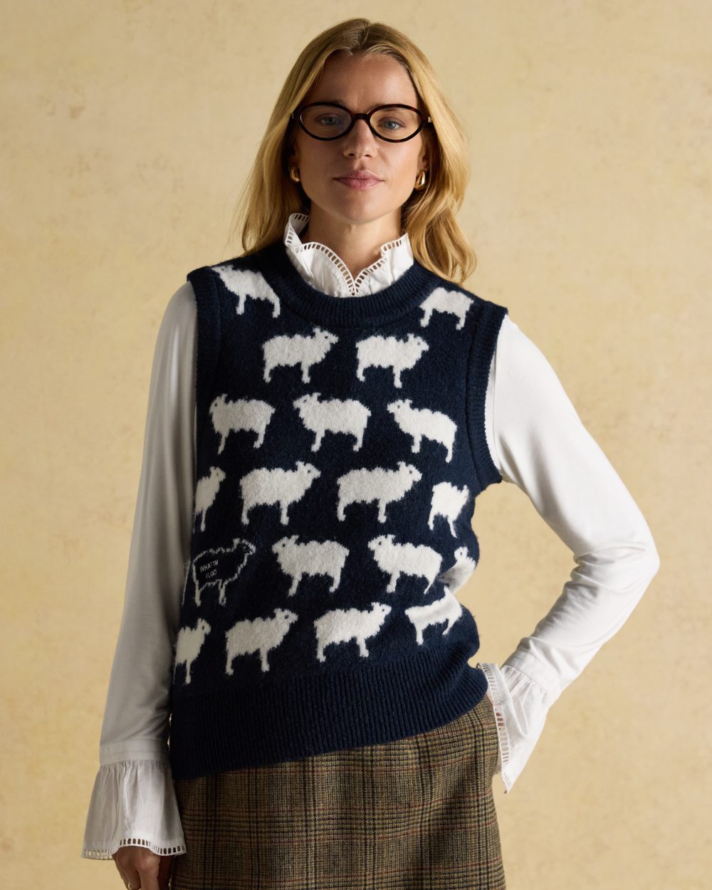 Navy coloured Joules Womens What The Flock Intarsia Knitted Vest on wall background