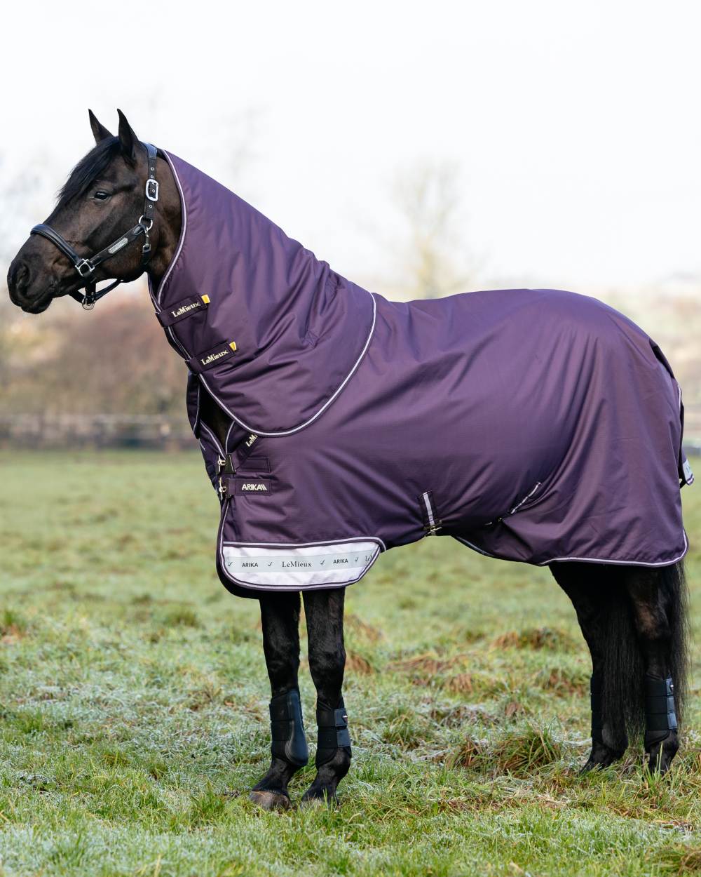 Juniper coloured LeMieux Arika Ripstop 100g Turnout Rug on grass background