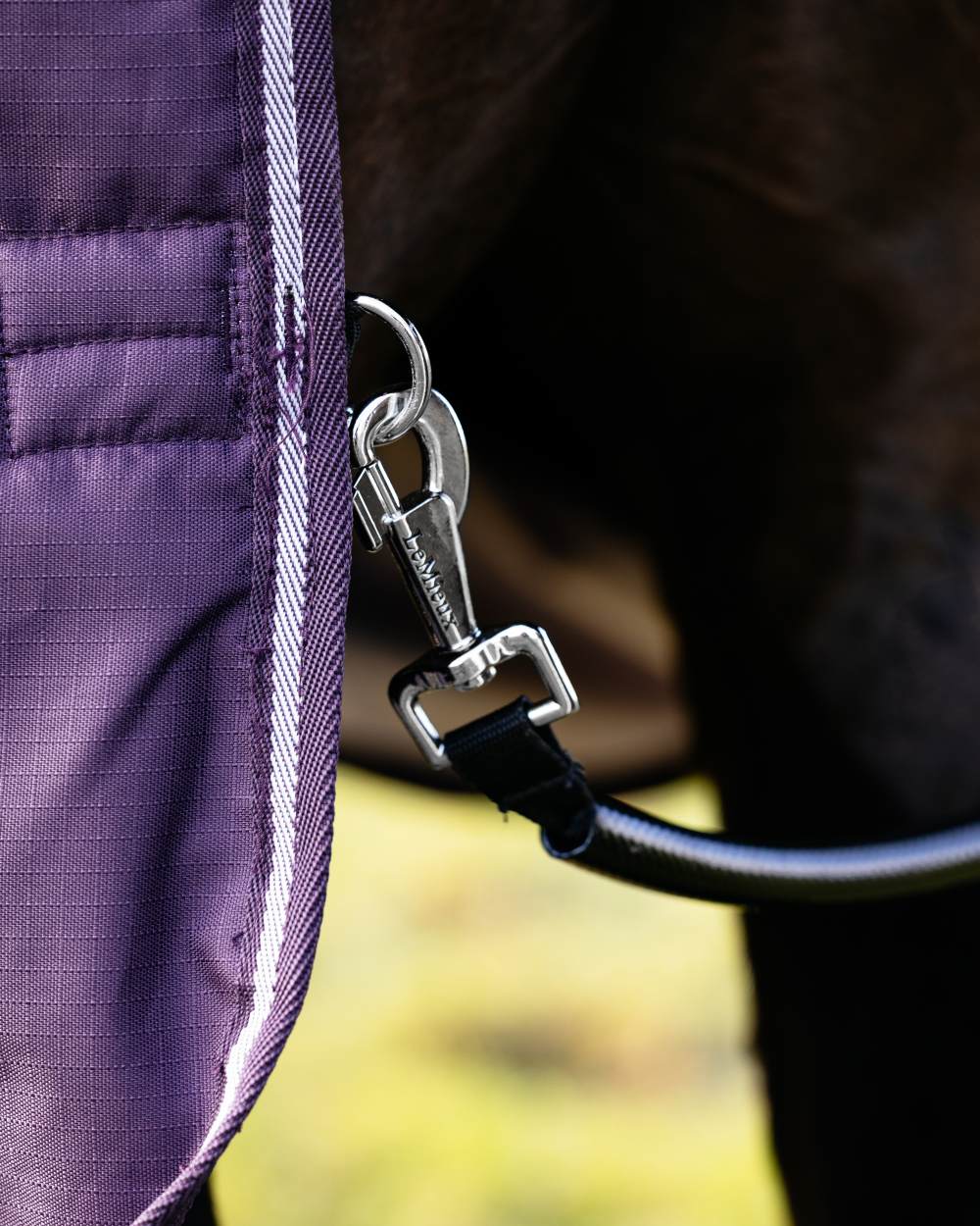 Juniper coloured LeMieux Arika Ripstop 100g Turnout Rug on grass background