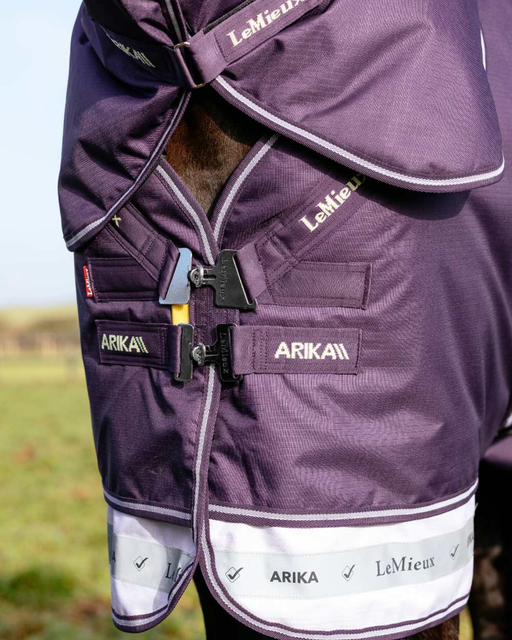 Juniper coloured LeMieux Arika Ripstop 100g Turnout Rug on grass background