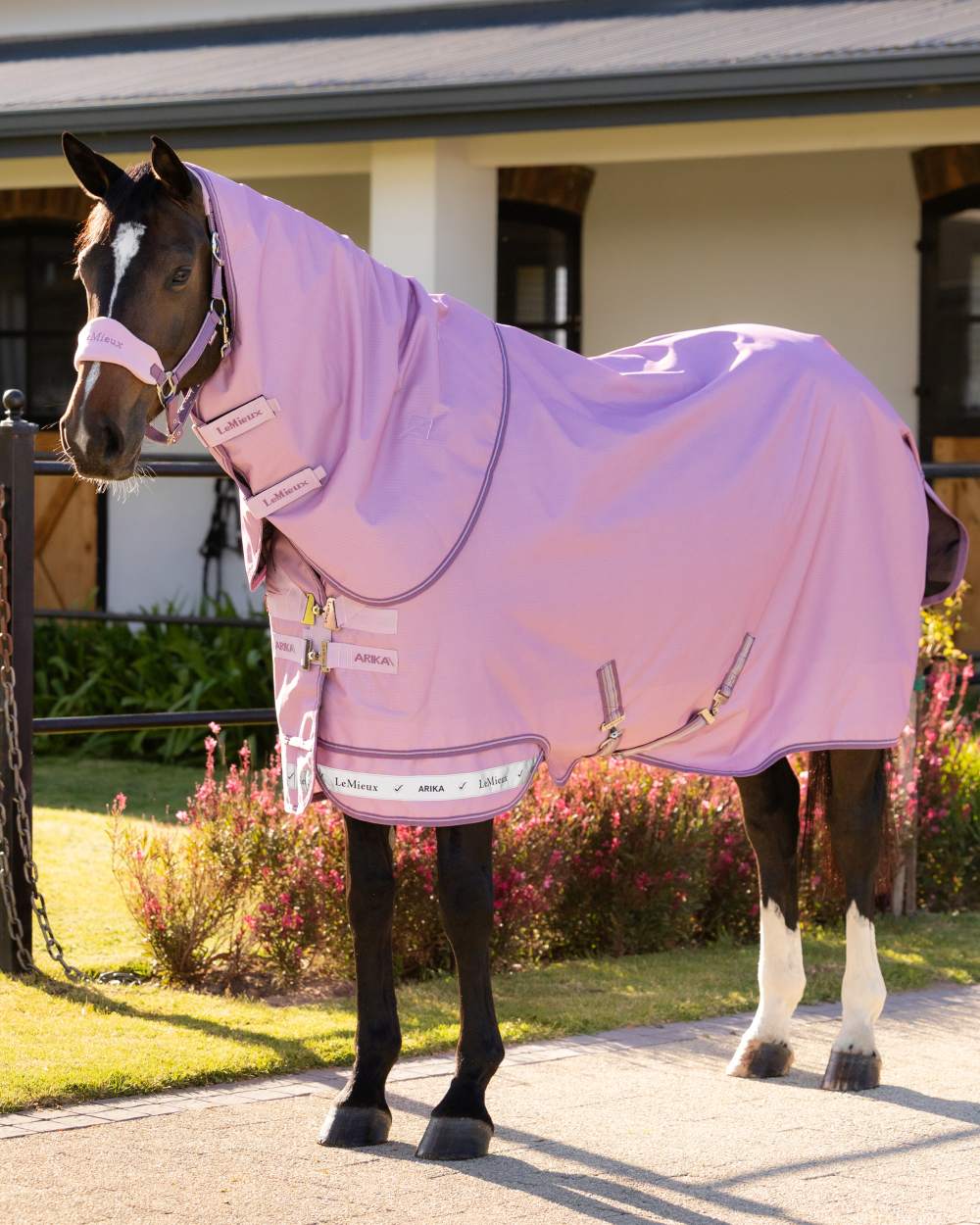 Fondant coloured LeMieux Arika Ripstop 50g Turnout Horse Rug on outdoor background