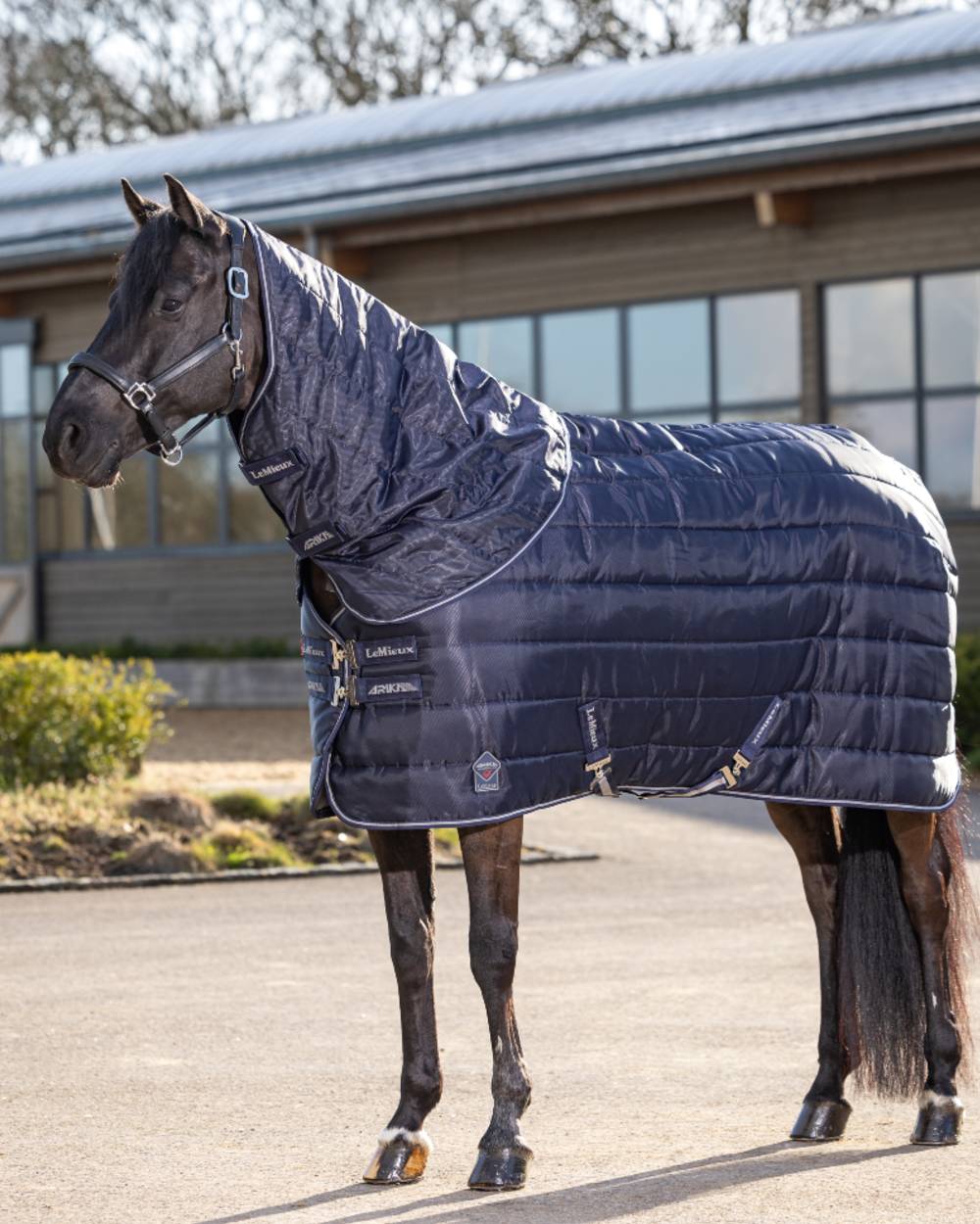 Navy coloured LeMieux Arika Stable-Tek 100g on outdoor background