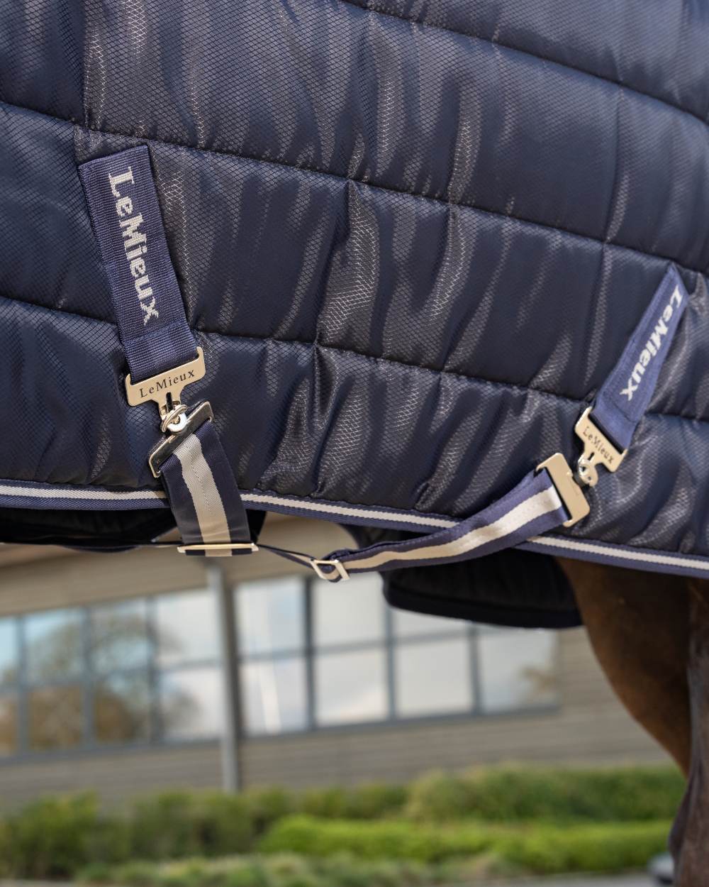 Navy coloured LeMieux Arika Stable-Tek 100g on outdoor background