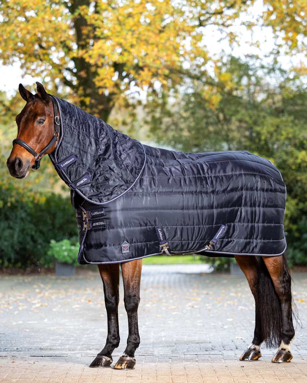 Navy coloured LeMieux Arika Stable-Tek 100g on outdoor background