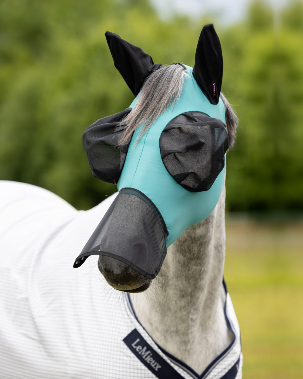Lagoon coloured LeMieux Bug Relief Full Mask on blurry background