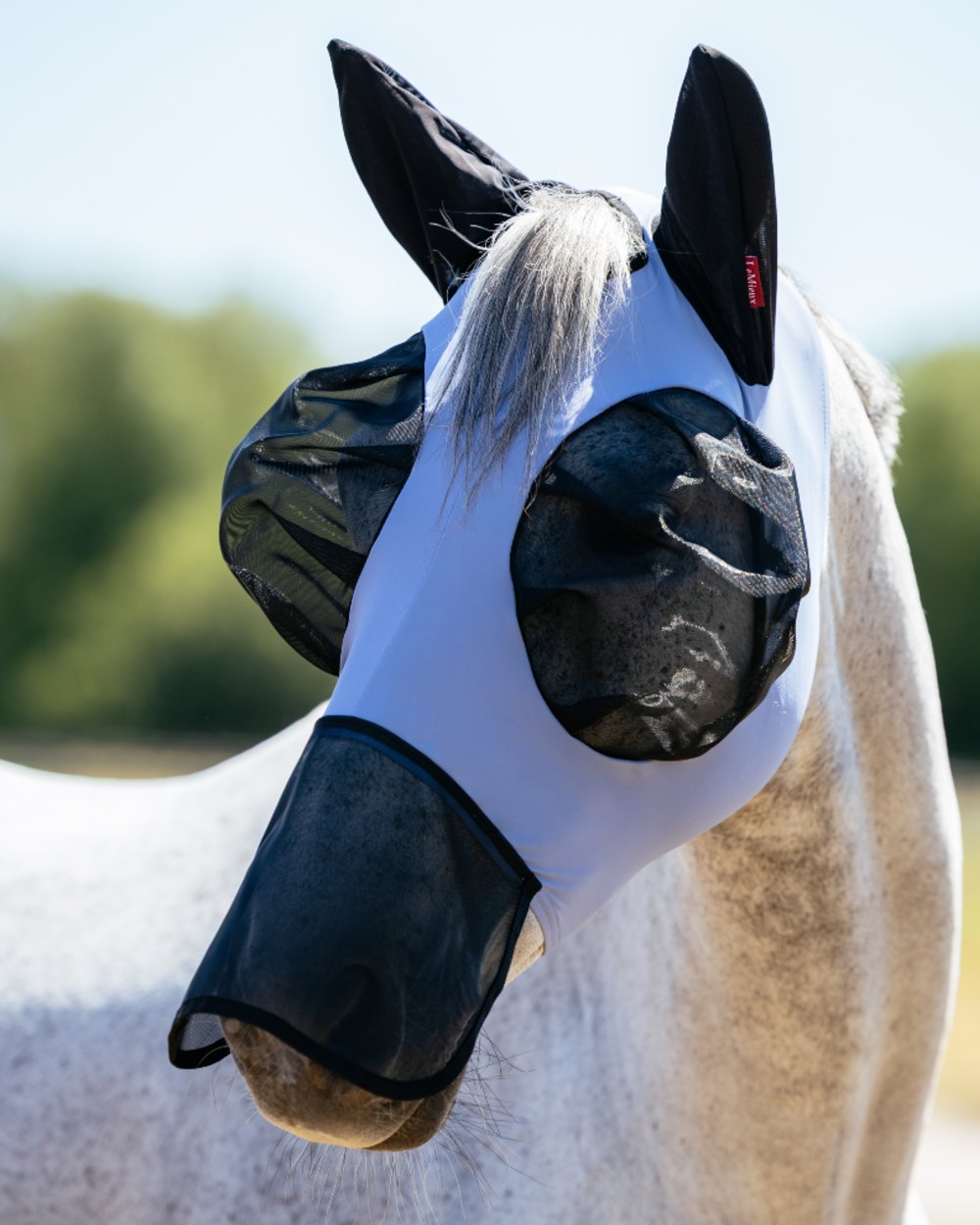 Powder Blue coloured LeMieux Bug Relief Full Mask on outdoor background