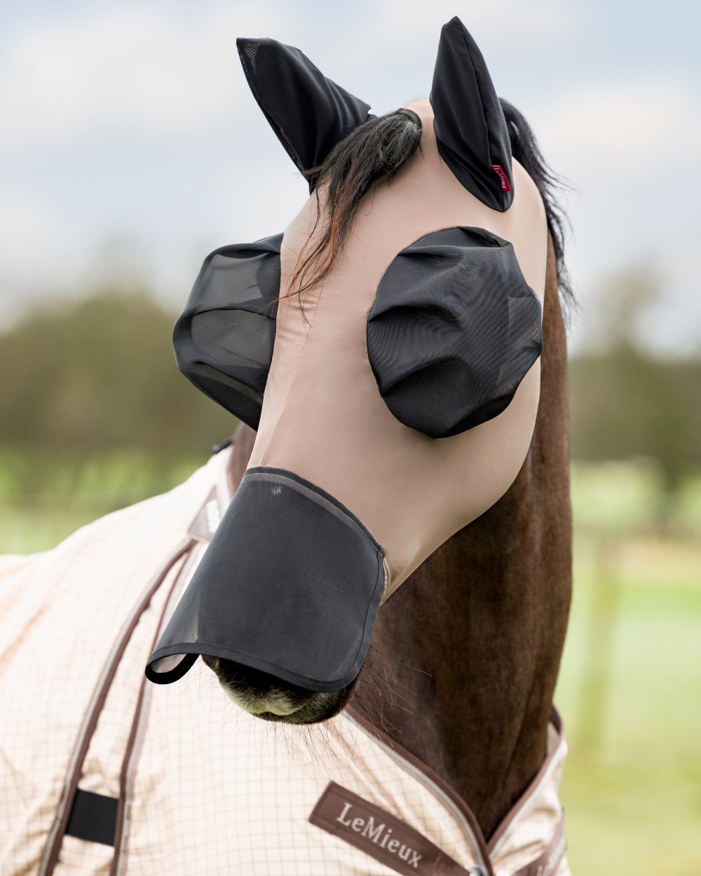 Walnut coloured LeMieux Bug Relief Full Mask on blurry background