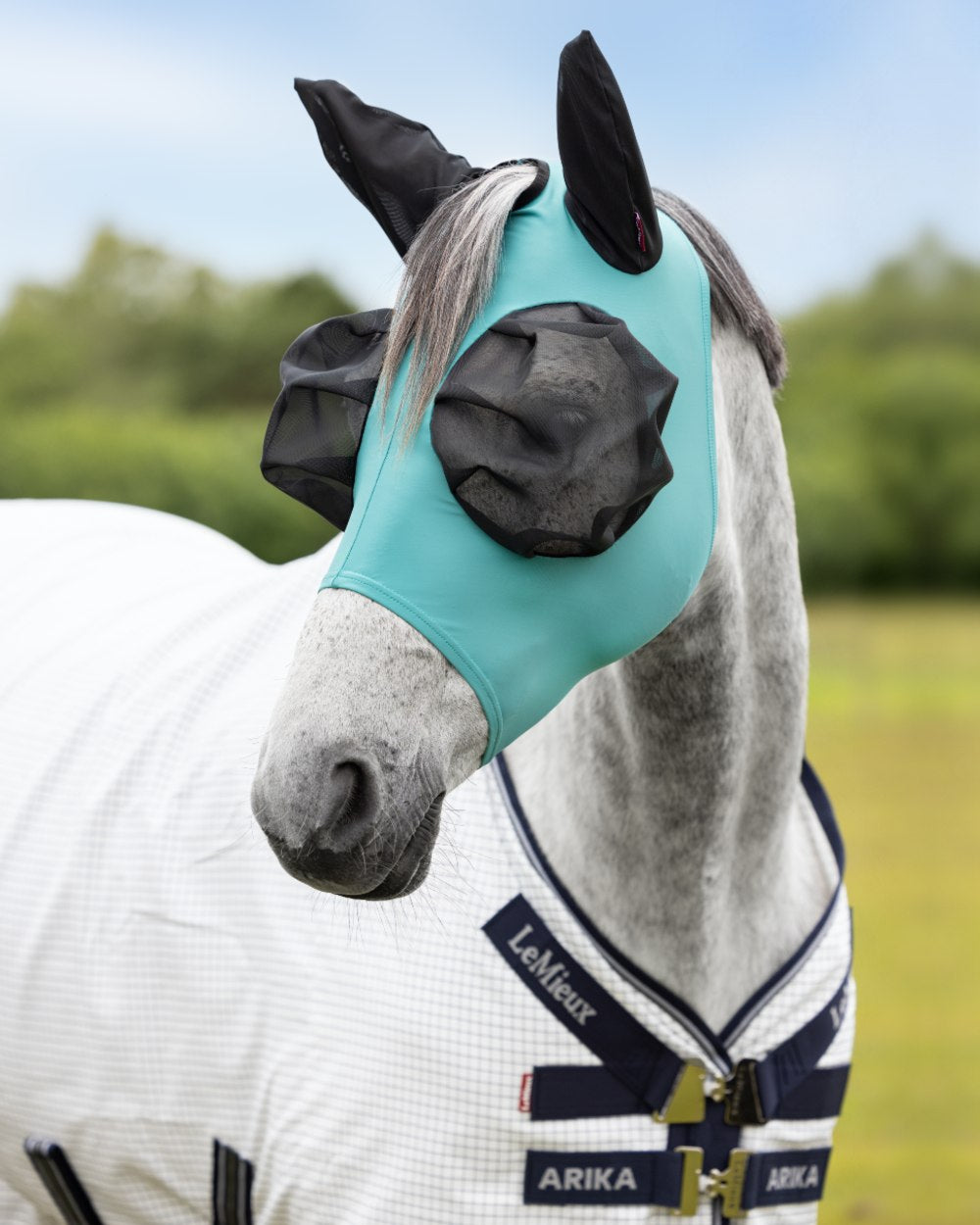 Lagoon coloured LeMieux Bug Relief Half Mask on blurry background
