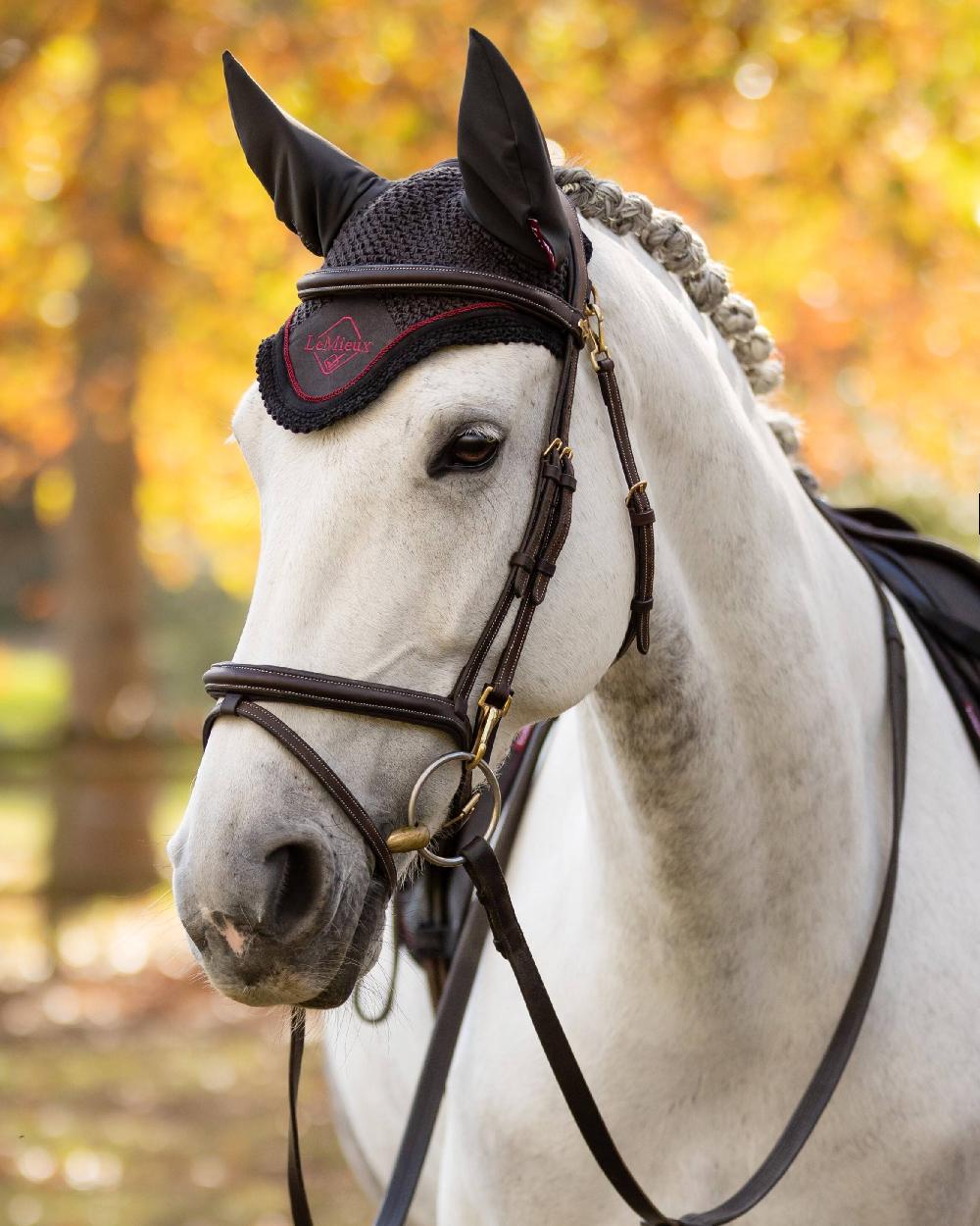 Cinder coloured LeMieux Classic Fly Hood on blurry background