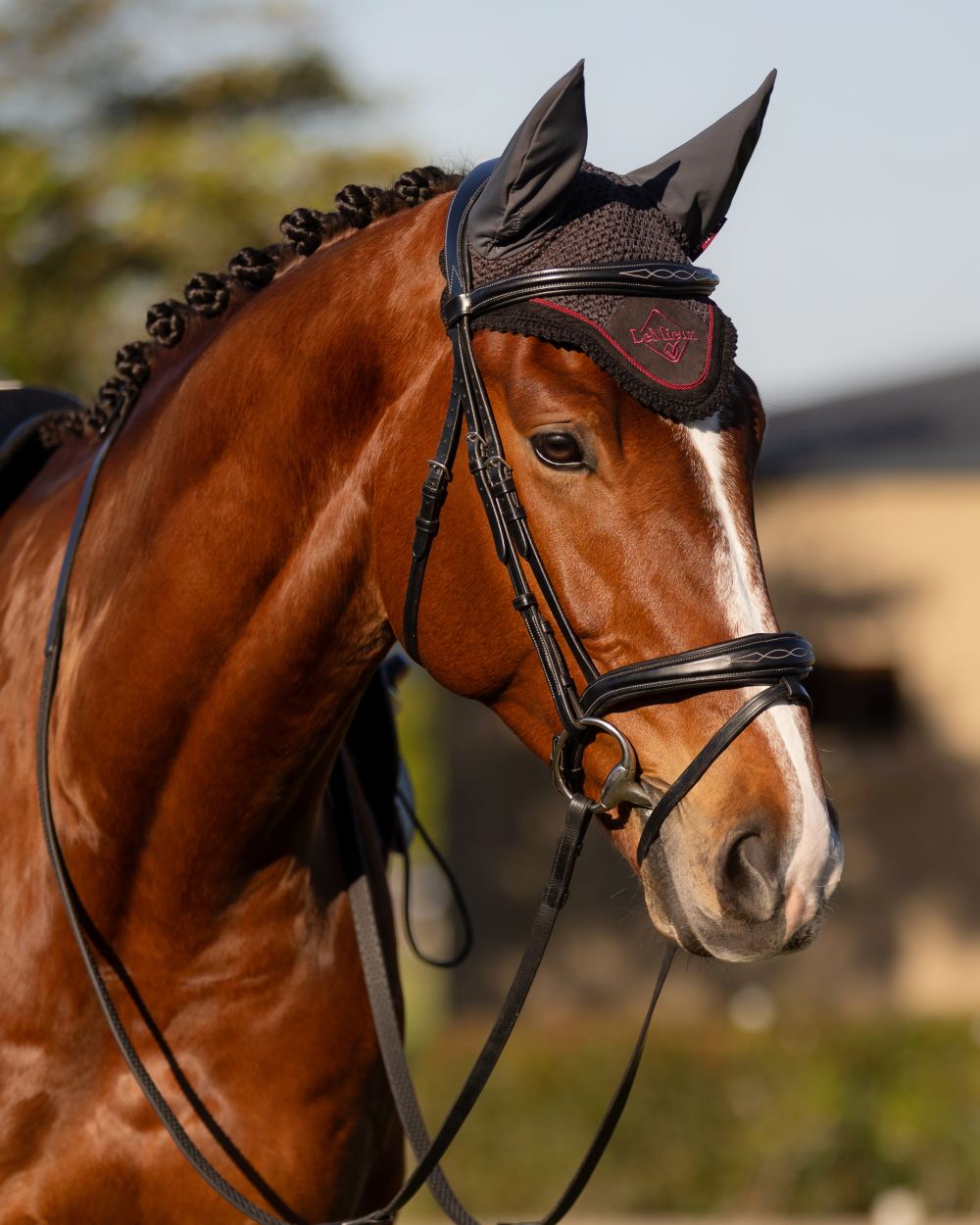 Cinder coloured LeMieux Classic Fly Hood on blurry background