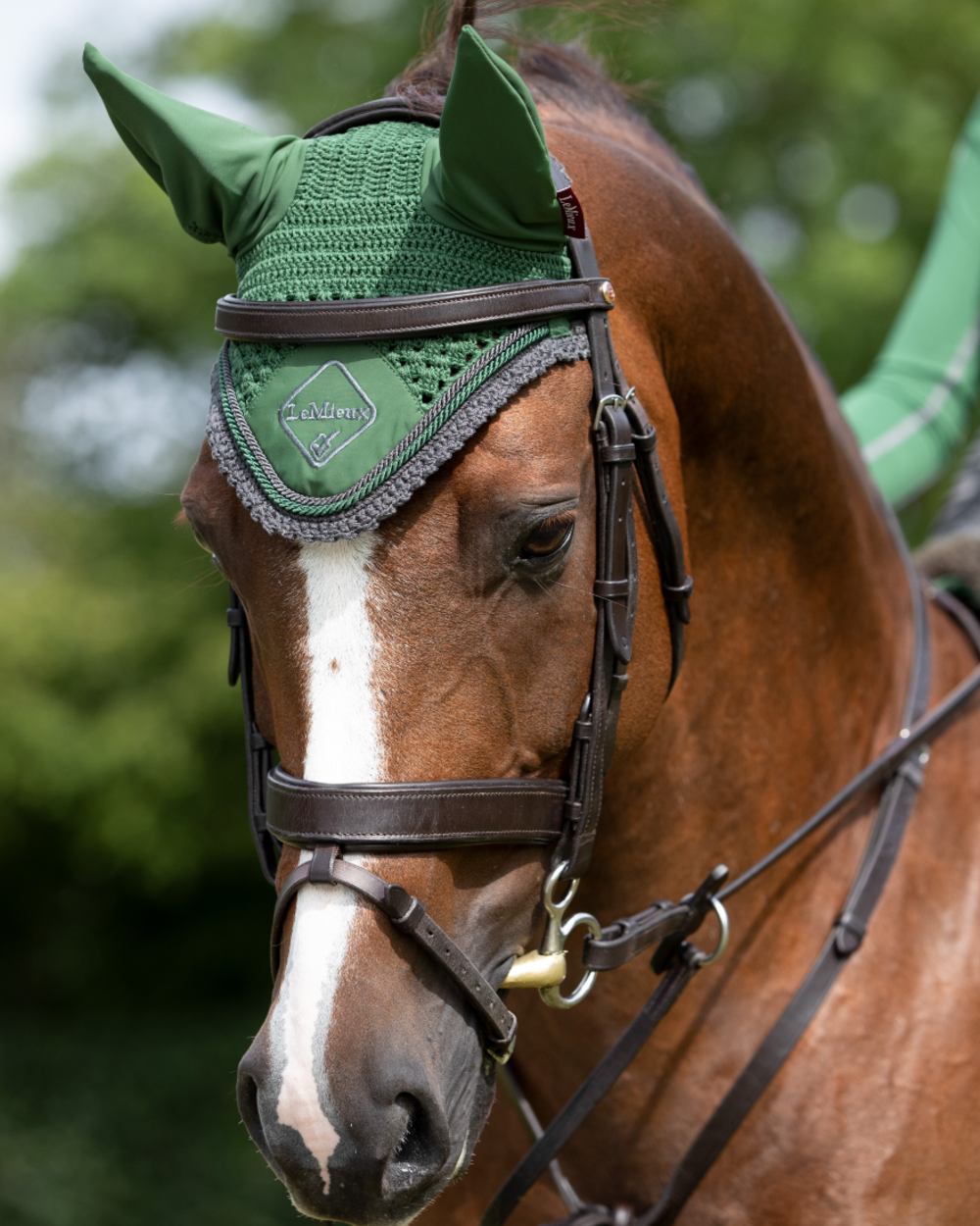Hunter Green coloured LeMieux Classic Fly Hood on outdoor background