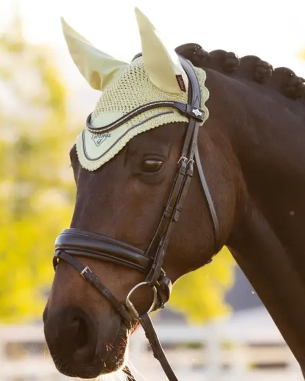 Macaron coloured LeMieux Classic Fly Hood on outdoor background