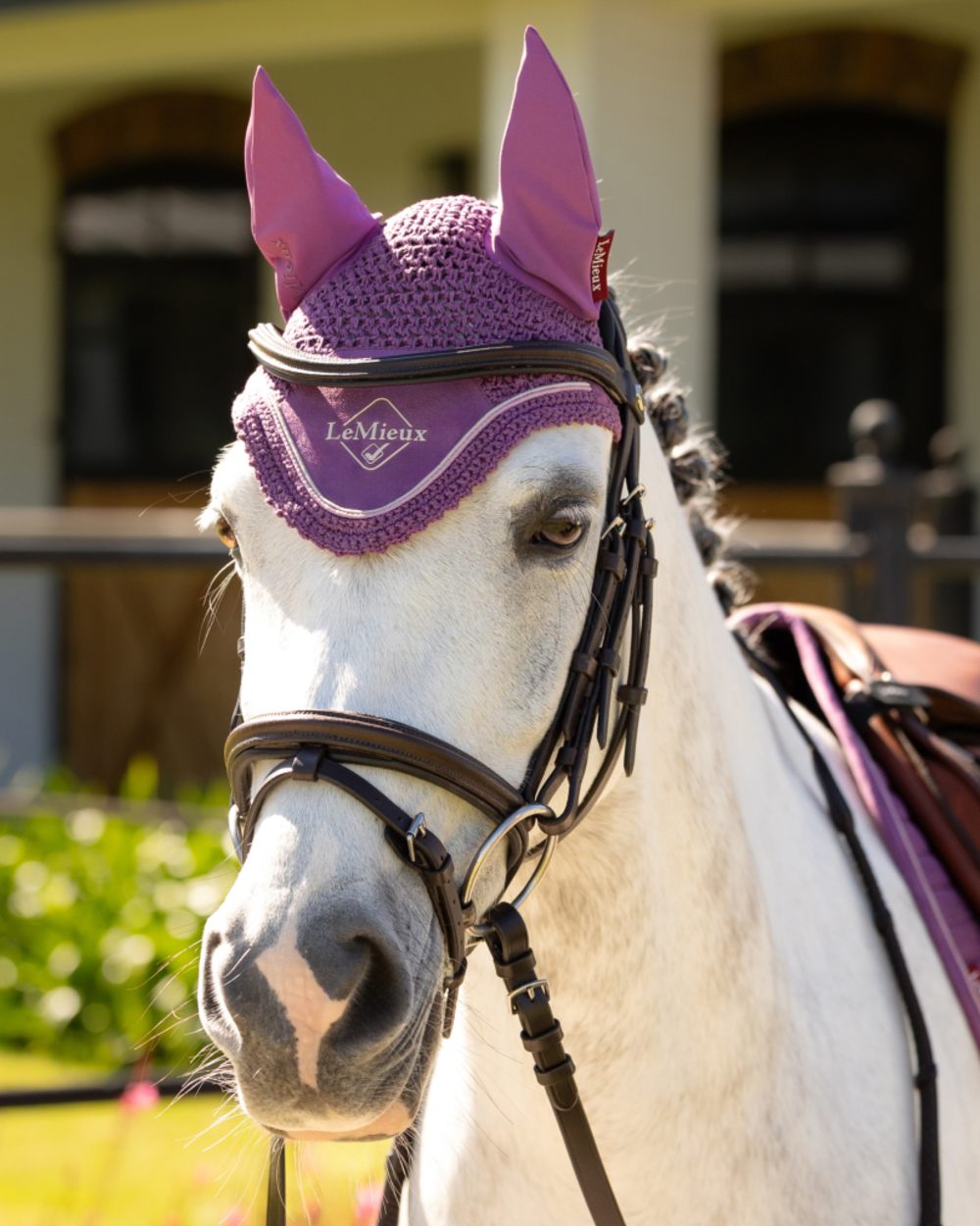Mallow coloured LeMieux Classic Fly Hood on outdoor background