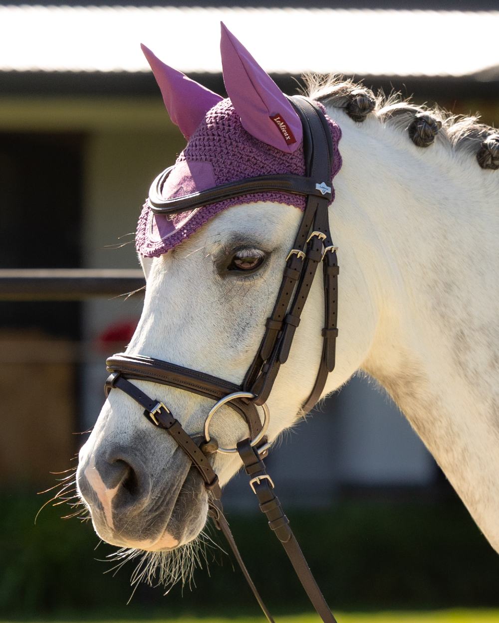Mallow coloured LeMieux Classic Fly Hood on outdoor background