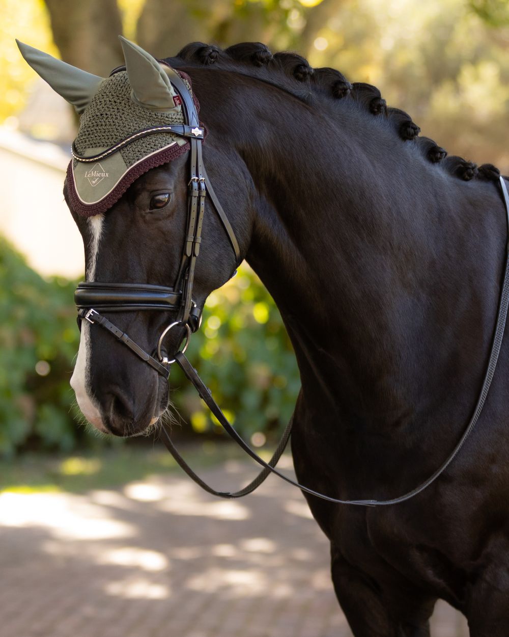 Rosemary coloured LeMieux Classic Fly Hood on blurry background