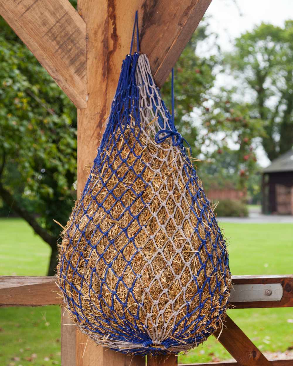 Navy coloured LeMieux Hippo Haynet on outdoor background