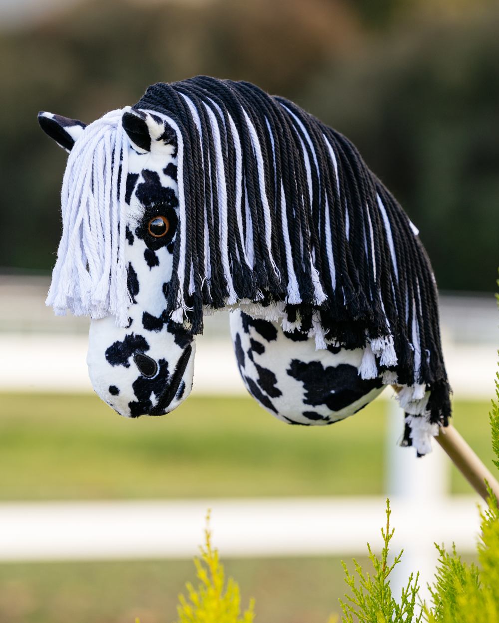 Hobby Horse Dakota coloured LeMieux Hobby Horse Dakota on blurry background