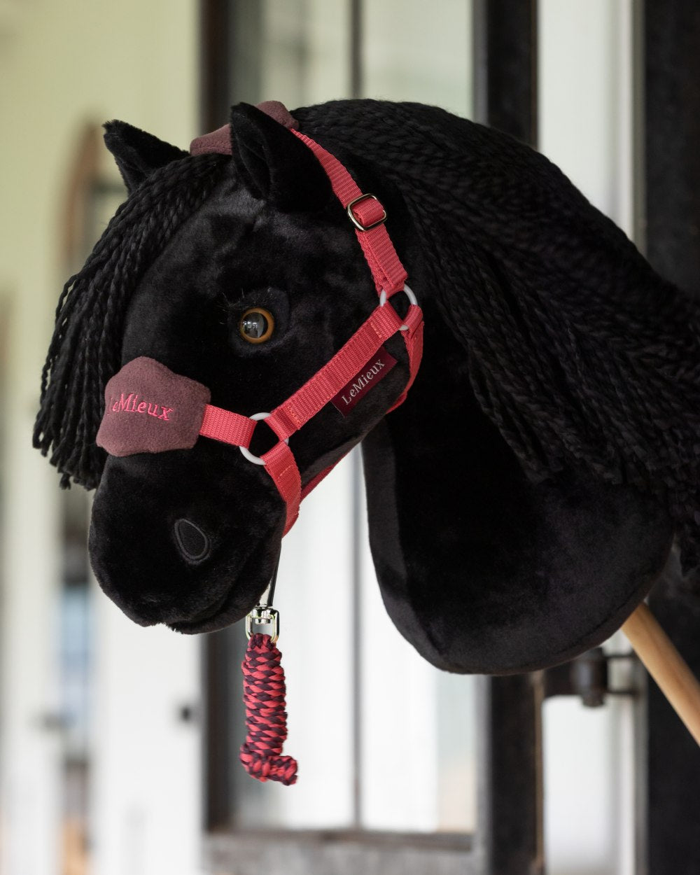 Cranberry coloured LeMieux Hobby Horse Vogue Headcollar on outdoor background