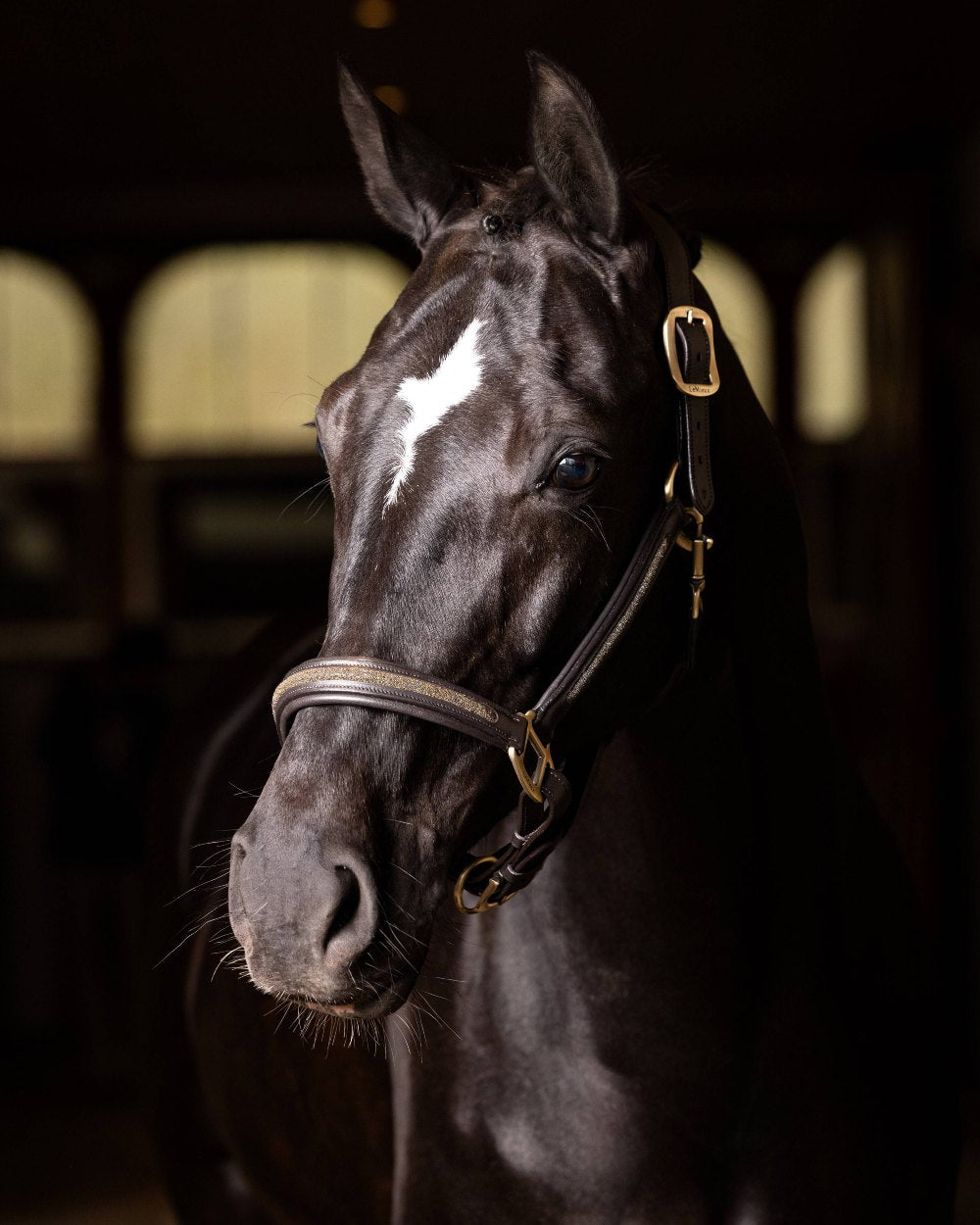 Black coloured LeMieux Leather Crystal Headcollar on blurry background