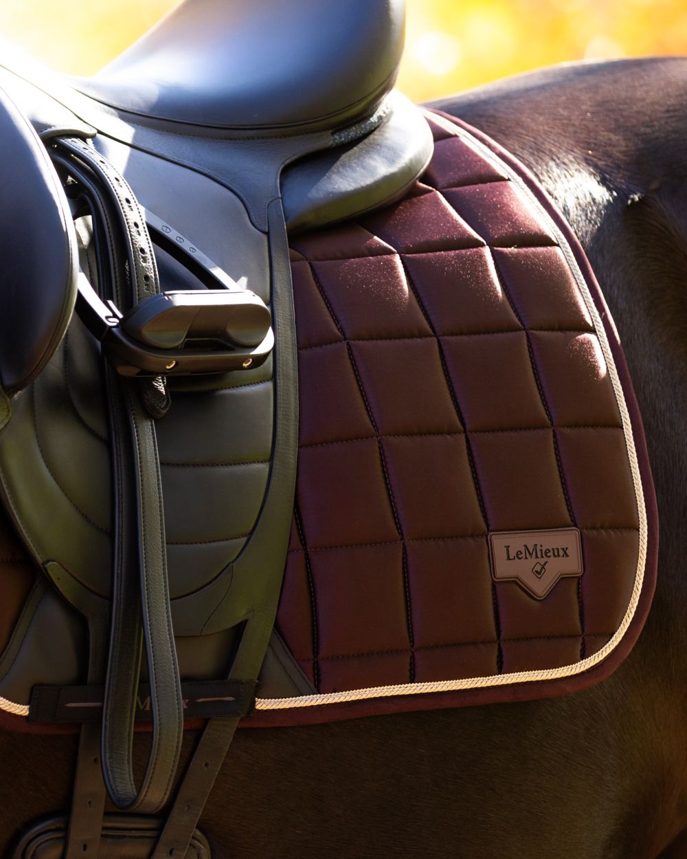 Damson coloured LeMieux Loire Dressage Square on tree background