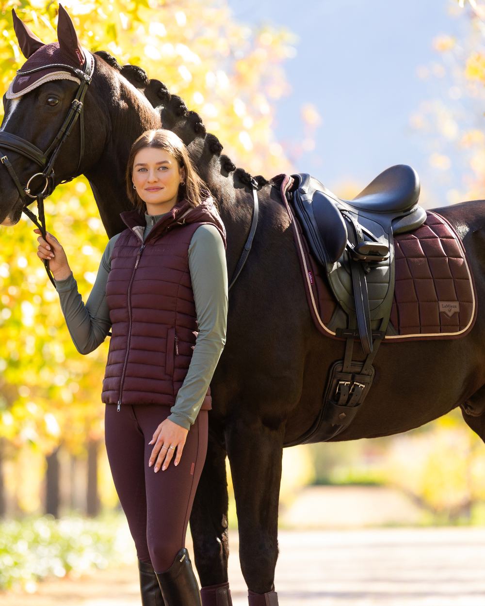 Damson coloured LeMieux Loire Dressage Square on tree background