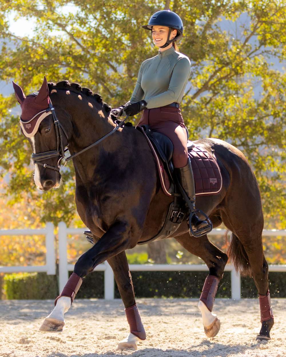 Damson coloured LeMieux Loire Dressage Square on tree background