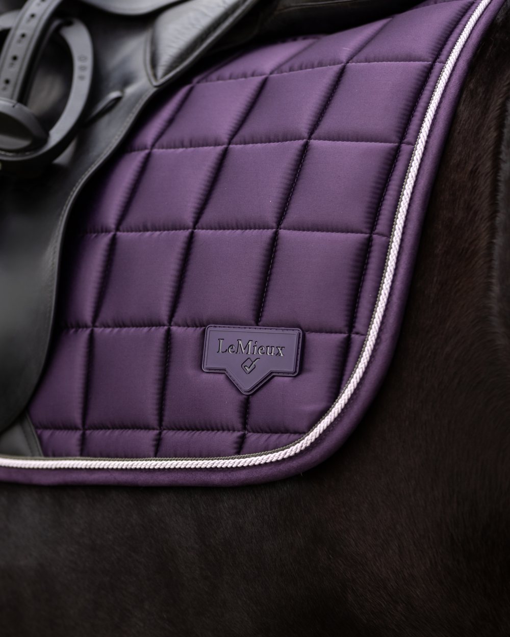 Juniper coloured LeMieux Loire Dressage Square on outdoor background