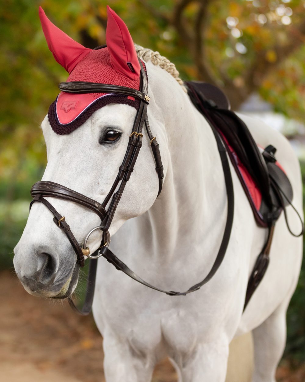 Cranberry coloured LeMieux Loire Fly Hood on blurry background