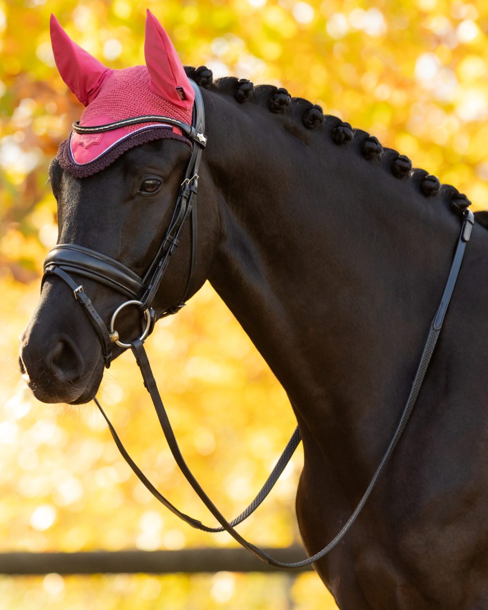 Cranberry coloured LeMieux Loire Fly Hood on blurry background