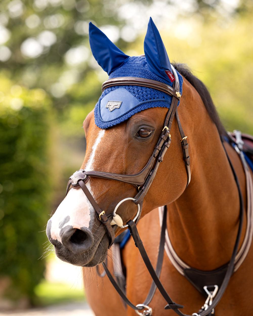 Benetton Blue coloured LeMieux Loire Fly Hood on blurry background