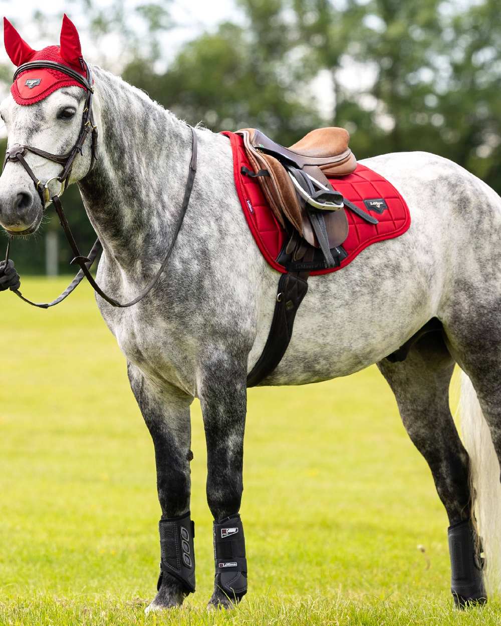 Chilli coloured LeMieux Loire GP Square Pad on yard background