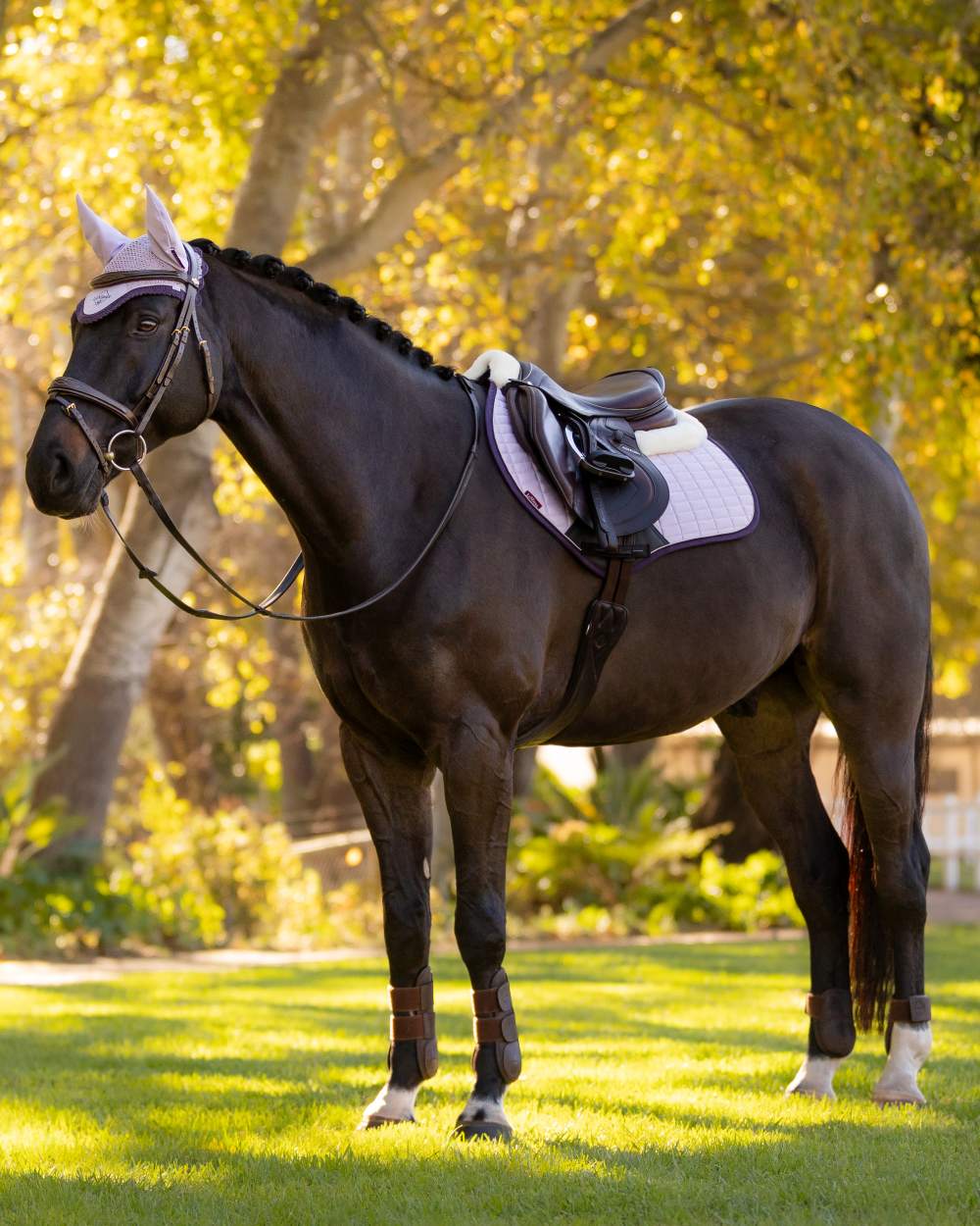 Lilac coloured LeMieux Merino Suede Close Contact Square on tree background