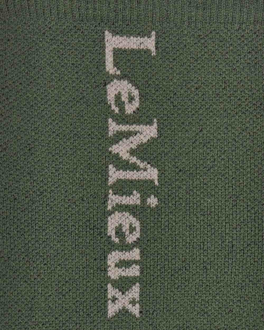 Rosemary coloured LeMieux Performance Socks on white background