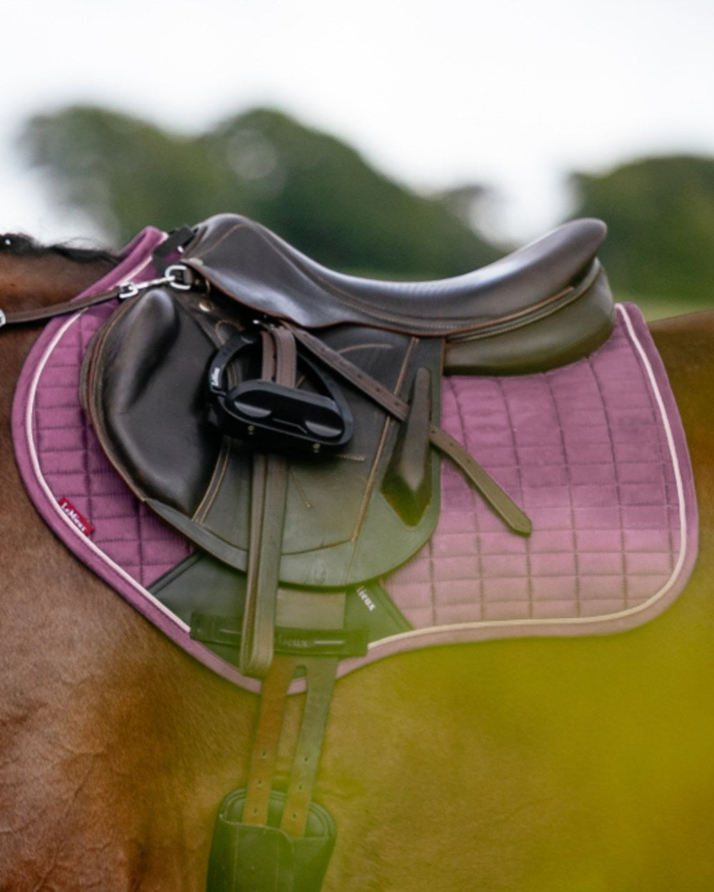 Mallow coloured LeMieux Suede Close Contact Squares on outdoor background
