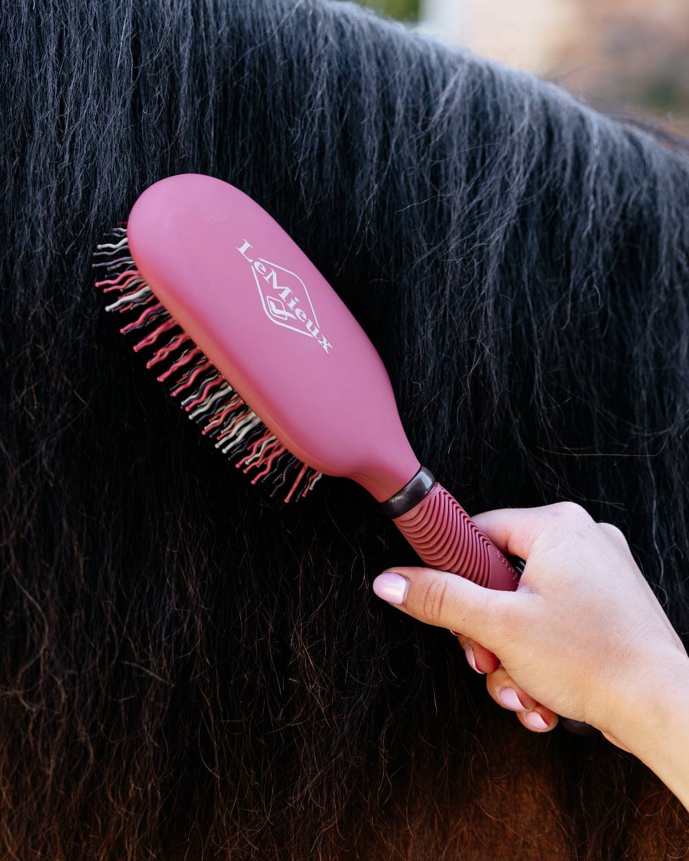 Cranberry coloured LeMieux Tangle Tidy Brush on blurry background