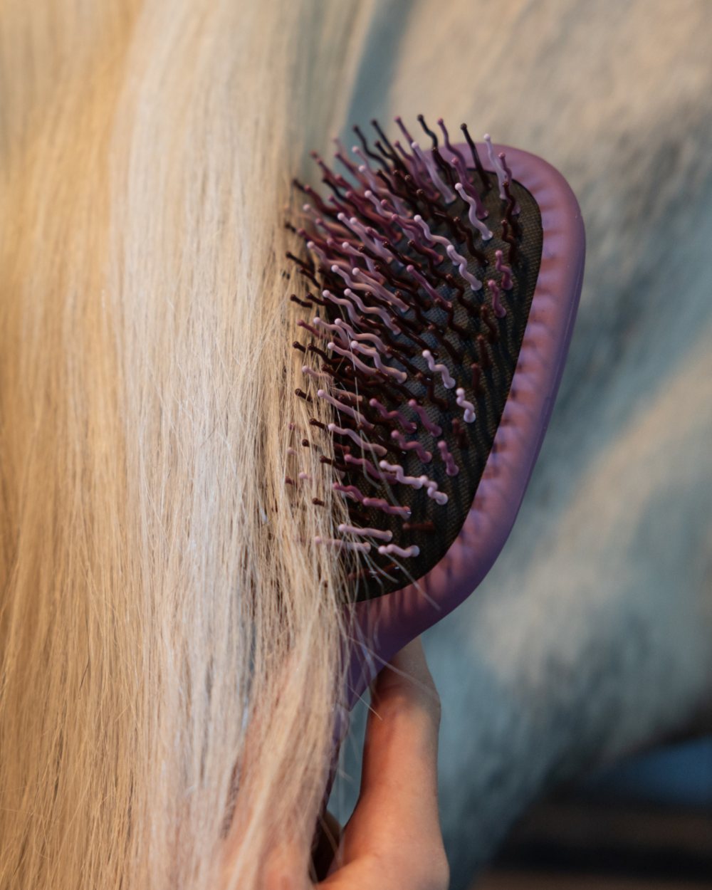 Mallow coloured LeMieux Tangle Tidy Brush on outdoor background