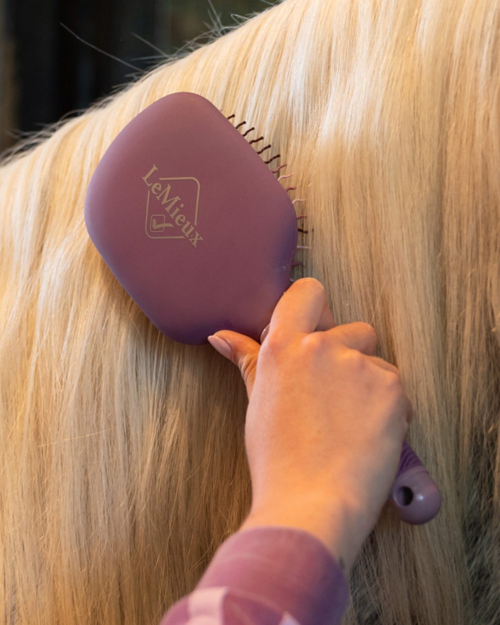 Mallow coloured LeMieux Tangle Tidy Brush on outdoor background