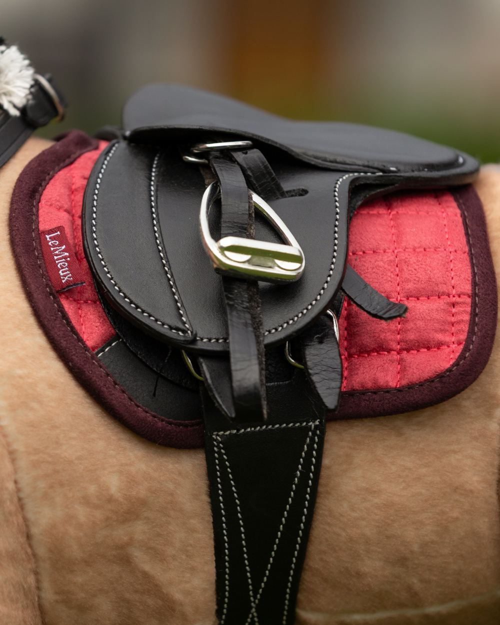 Cranberry Coloured LeMieux Toy Pony Pad On A Blurry Background