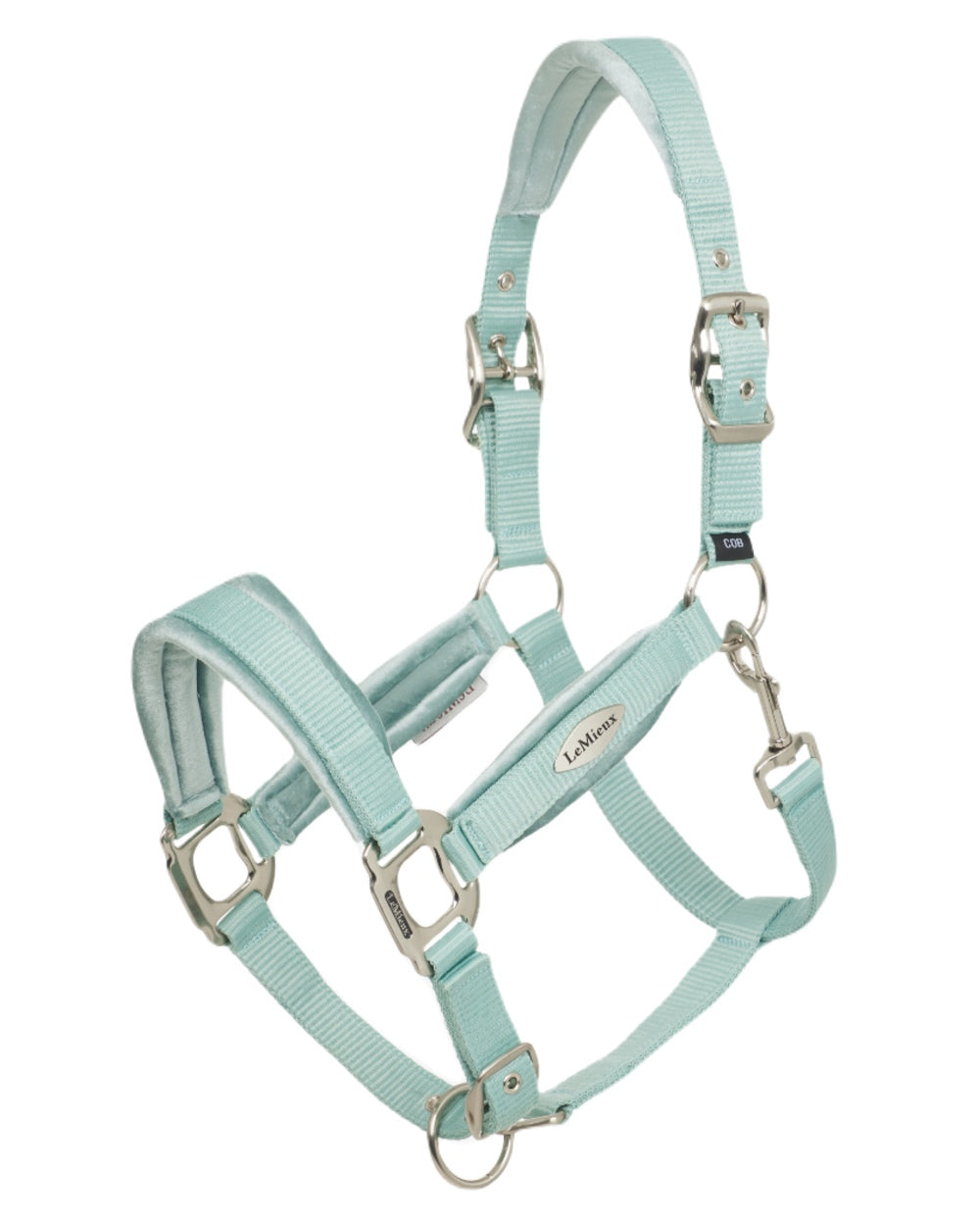 Aqua coloured LeMieux Versailles Headcollar on white background