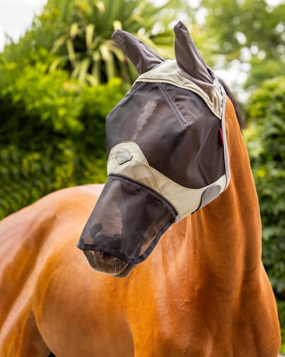 Fern coloured LeMieux Visor Tek Full Fly Mask on blurry background